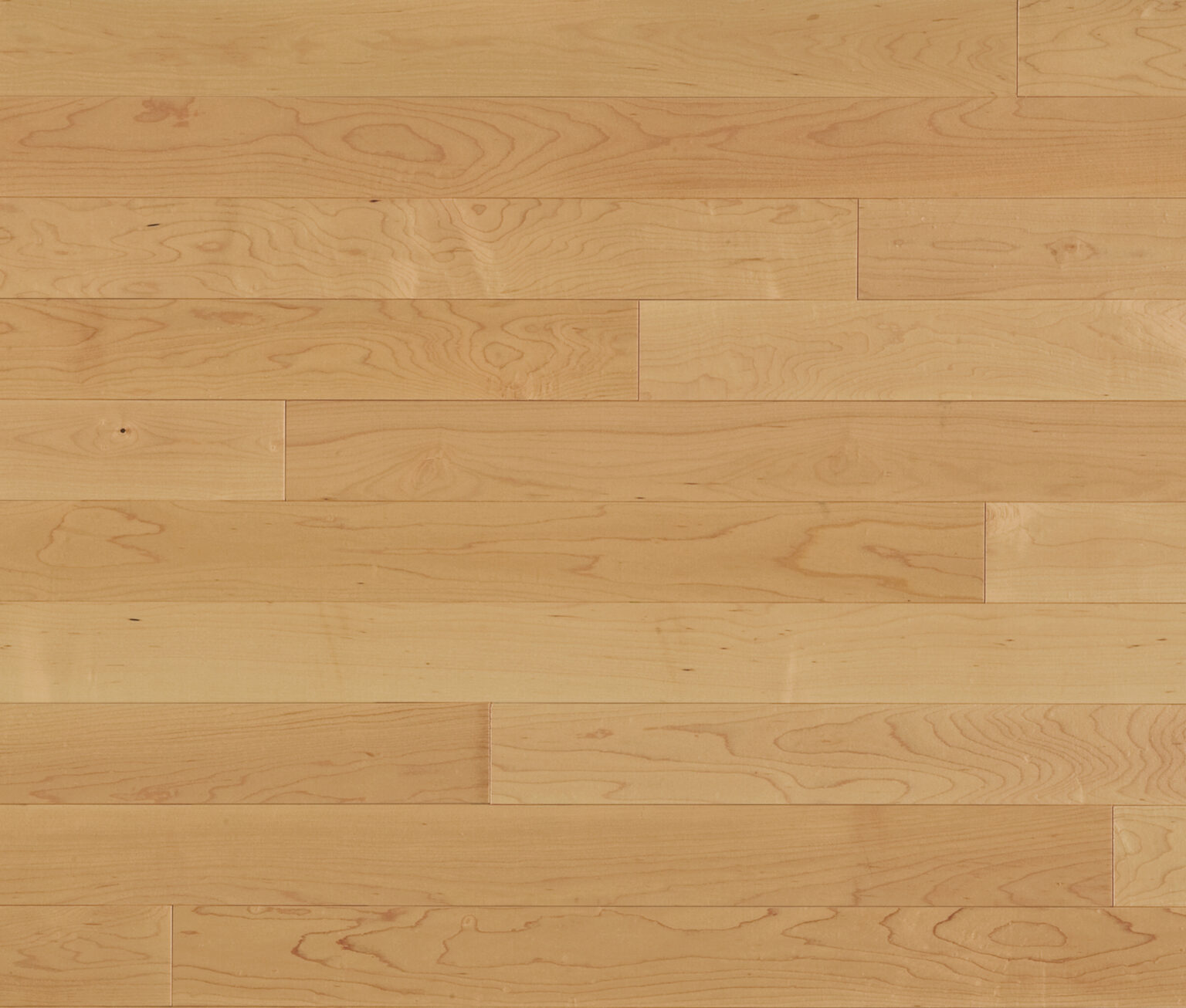 Lafayette Lauzon Collection