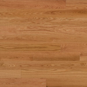 Belmont - Chêne nord-américain - Grade sélect